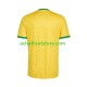 Maillot Afrique Du Sud Domicile Tenue pour Homme Coupe du Monde 2026 Manche Courte