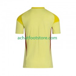 Maillot Celtic FC Gardien Domicile Tenue pour Homme 2025-2026 Manche Courte