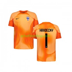 Maillot Finlande HRADECKY 1 Gardien Domicile Tenue pour Homme 2022-2023 Manche Courte Maillot Finlande HRADECKY 1 Gardien Domicile Tenue pour Homme 2022-2023 Manche Courte