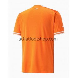 Maillot Côte d'Ivoire Domicile Tenue pour Homme 2022 Manche Courte