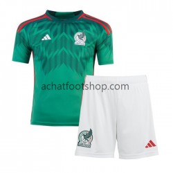 Maillot Mexique Domicile Tenue pour Enfant Coupe du Monde 2022 Manche Courte Maillot Mexique Domicile Tenue pour Enfant Coupe du Monde 2022 Manche Courte