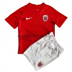 Maillot Norvège Domicile Tenue pour Enfant 2022 Manche Courte Maillot Norvège Domicile Tenue pour Enfant 2022 Manche Courte