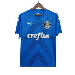 Maillot Palmeiras Gardien Extérieur Tenue pour Homme 2022-2023 Manche Courte