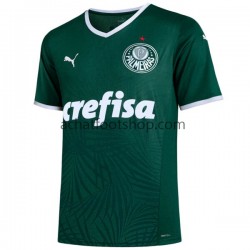 Maillot Palmeiras Domicile Tenue pour Homme 2022-2023 Manche Courte