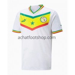 Maillot Sénégal Domicile Tenue pour Homme Coupe du Monde 2022 Manche Courte Maillot Sénégal Domicile Tenue pour Homme Coupe du Monde 2022 Manche Courte