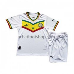 Maillot Sénégal Domicile Tenue pour Enfant Coupe du Monde 2022 Manche Courte