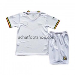 Maillot Sénégal Domicile Tenue pour Enfant Coupe du Monde 2022 Manche Courte