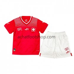 Maillot Suisse Domicile Tenue pour Enfant Coupe du Monde 2022 Manche Courte Maillot Suisse Domicile Tenue pour Enfant Coupe du Monde 2022 Manche Courte