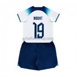 Maillot Angleterre Mount 19 Domicile Tenue pour Enfant Coupe du Monde 2022 Manche Courte Maillot Angleterre Mount 19 Domicile Tenue pour Enfant Coupe du Monde 2022 Manche Courte
