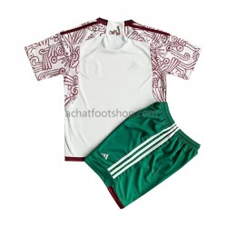 Maillot Mexique Extérieur Tenue pour Enfant Coupe du Monde 2022 Manche Courte