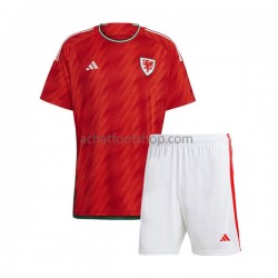 Maillot Pays de Galles Domicile Tenue pour Enfant Coupe du Monde 2022 Manche Courte
