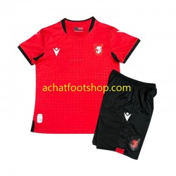 Maillot Georgia 3ème Tenue pour Enfant 2024 Manche Courte Maillot Georgia 3ème Tenue pour Enfant 2024 Manche Courte