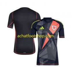 Maillot Pays de Galles Gardien Domicile Tenue pour Homme 2024 Manche Courte