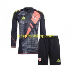 Maillot Pays de Galles Gardien Domicile Tenue pour Enfant 2024 Manche Longue