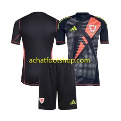 Maillot Pays de Galles Gardien Domicile Tenue pour Enfant 2024 Manche Courte